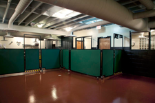 The Board Hound Room Divider